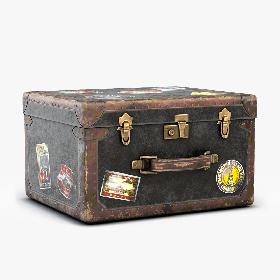 3D Old Luggage model